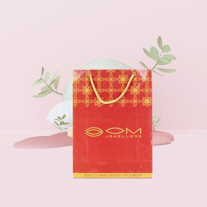 Glossy Paper Bags