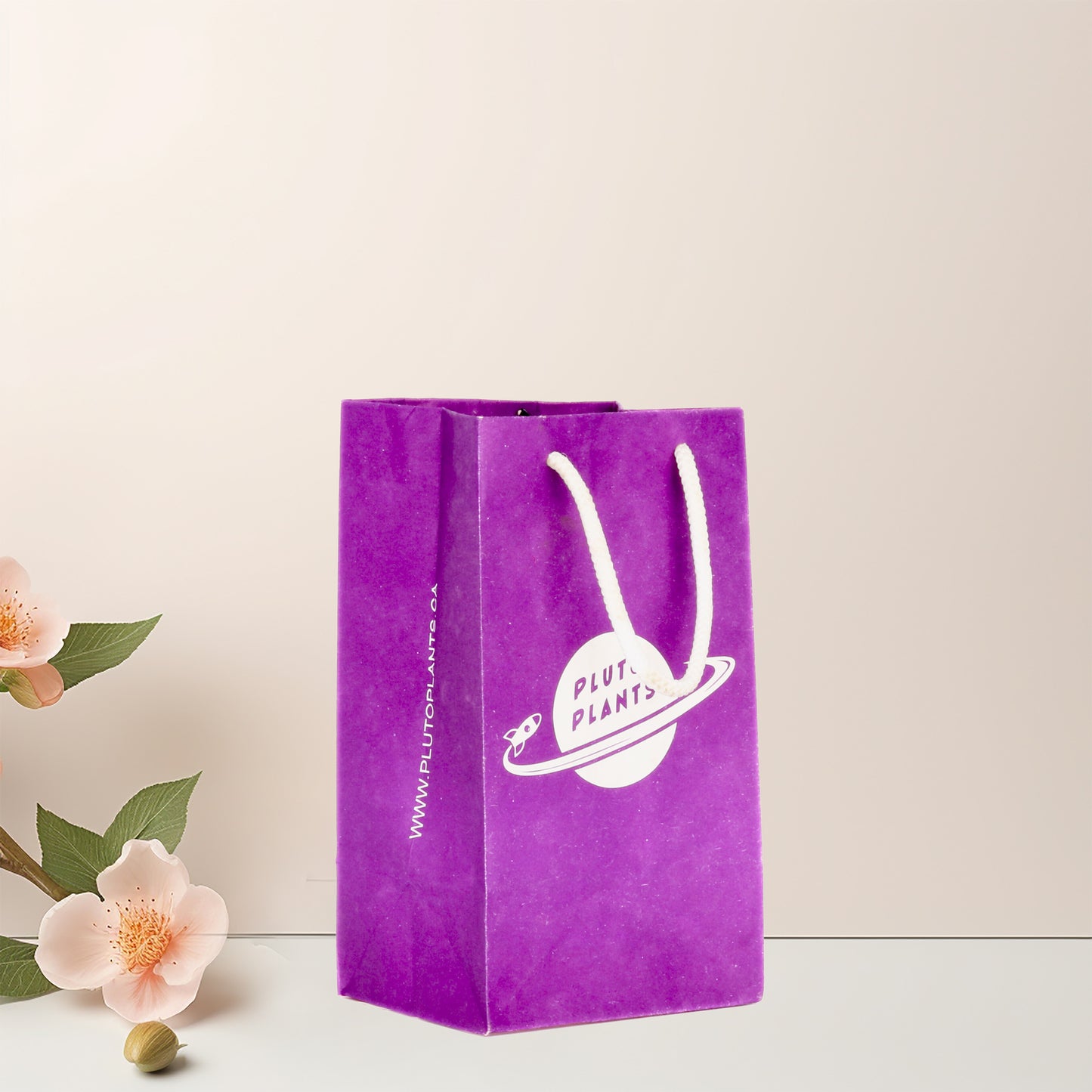 White Kraft Paper Bag